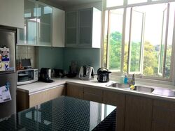 The Twins (D10), Apartment #536929891
